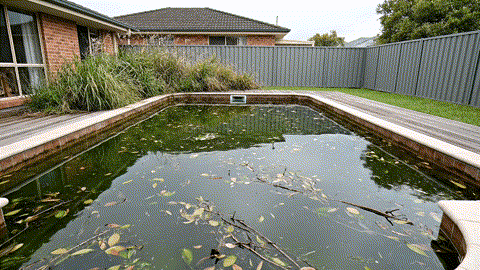 Pool cleaning before after
